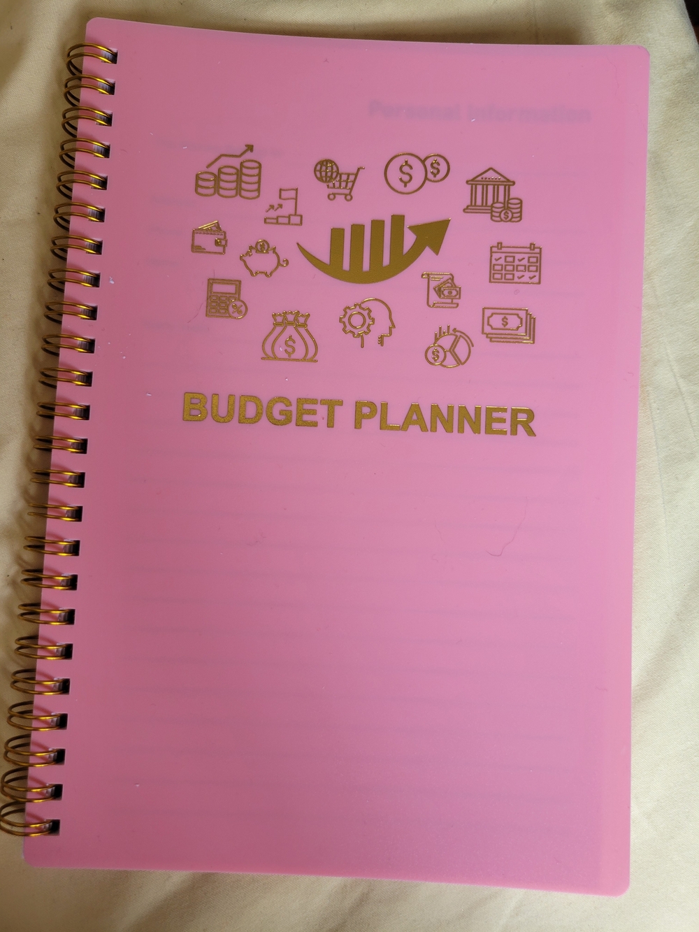 Pink Budget Planner with Gold Foil